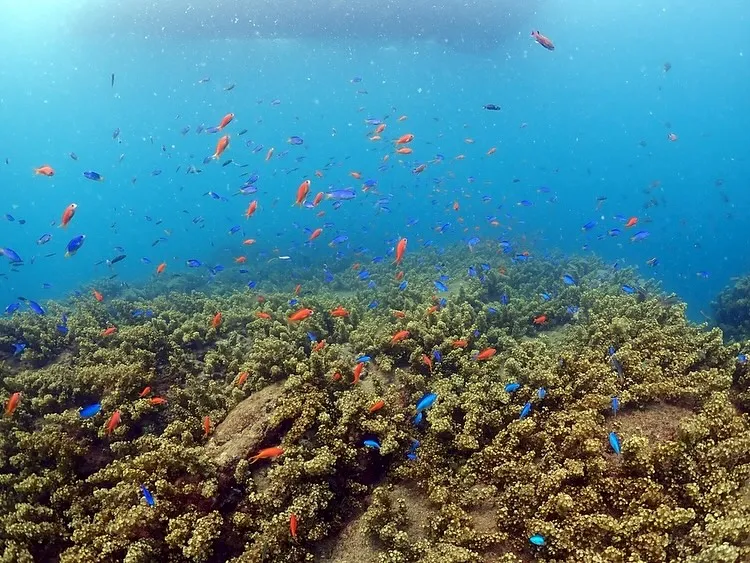 2025.07.02田辺ボート