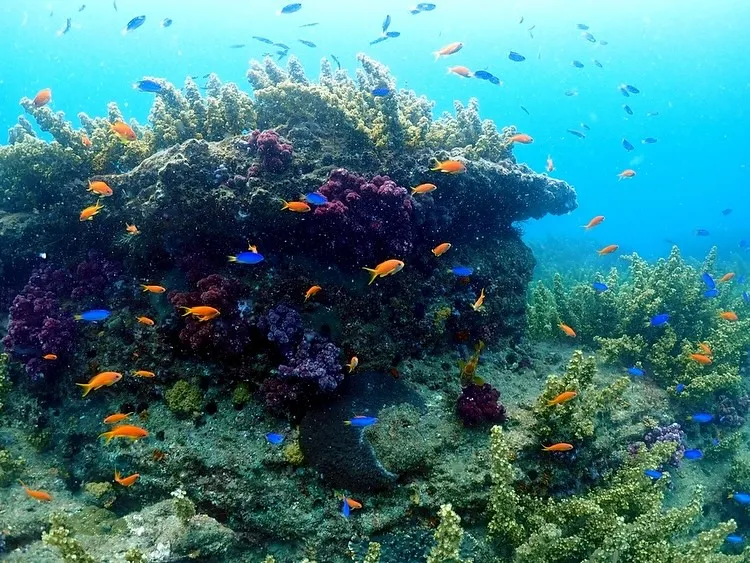 2025.07.02田辺ボート