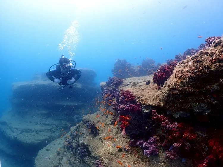 2025.07.02田辺ボート