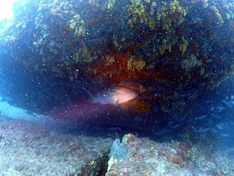 2025.07.02田辺ボート