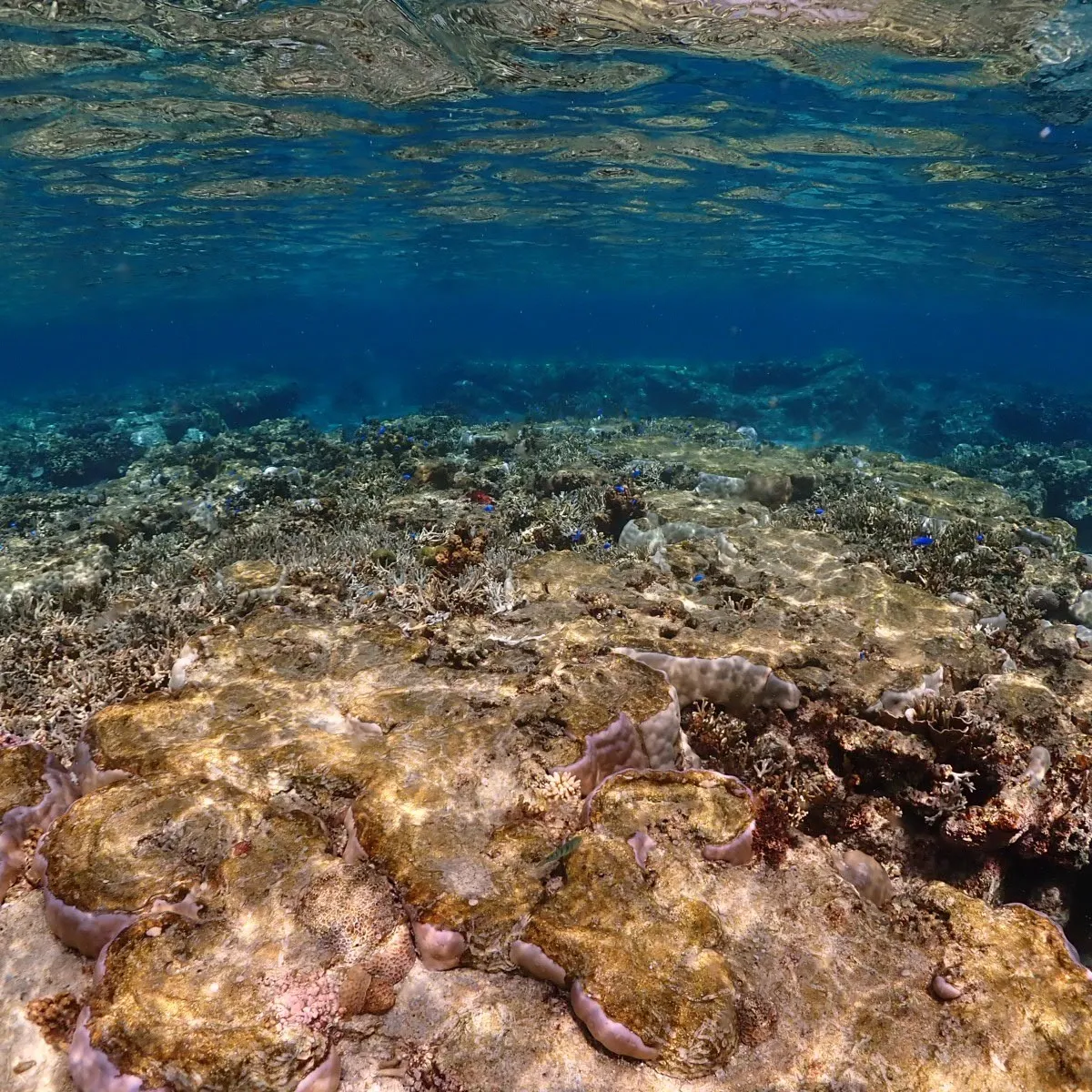 四泊五日のゆっくり宮古島😇
