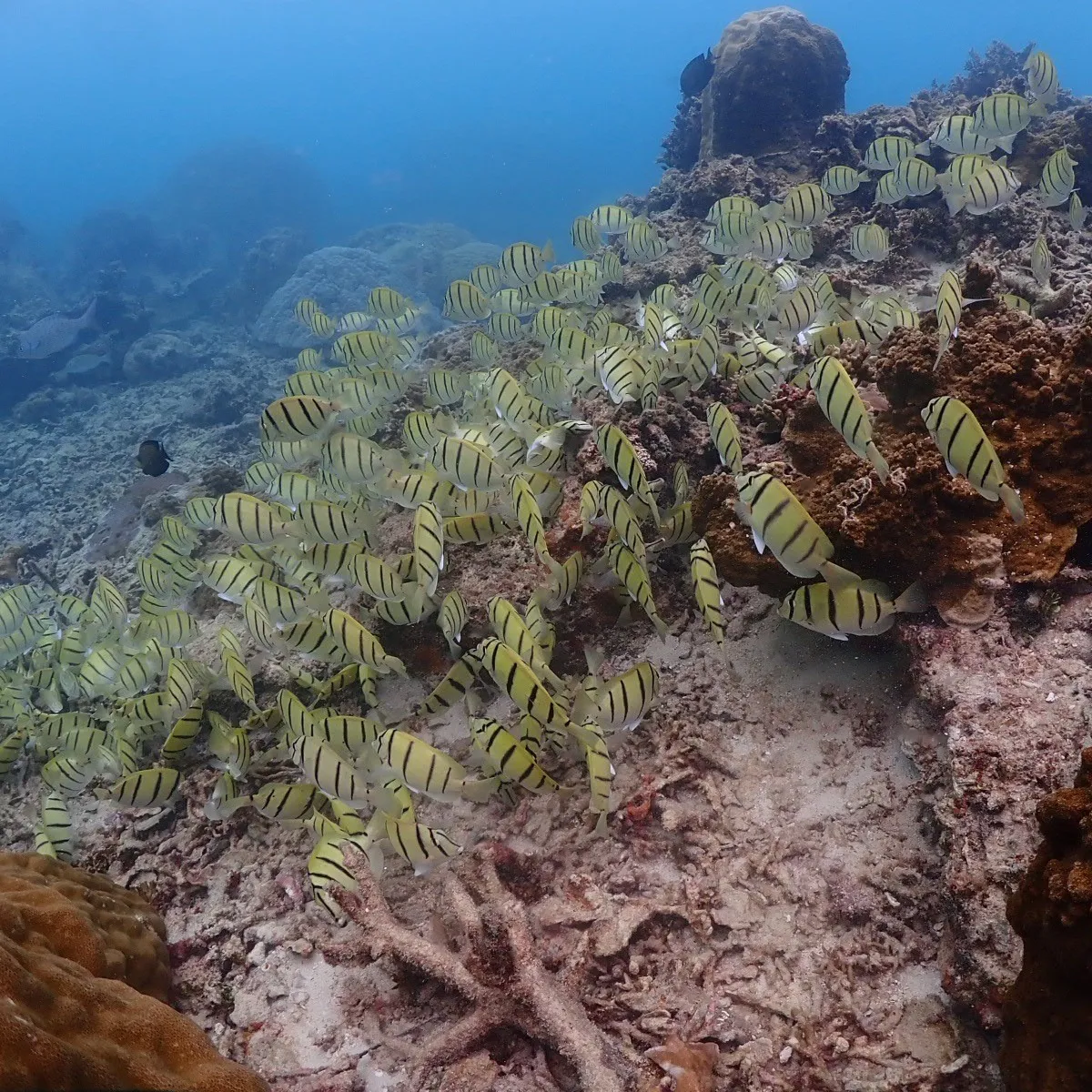 四泊五日のゆっくり宮古島😇