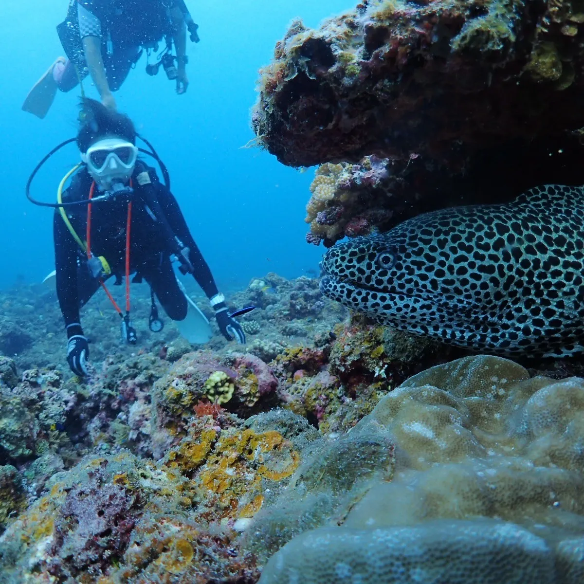 四泊五日のゆっくり宮古島😇