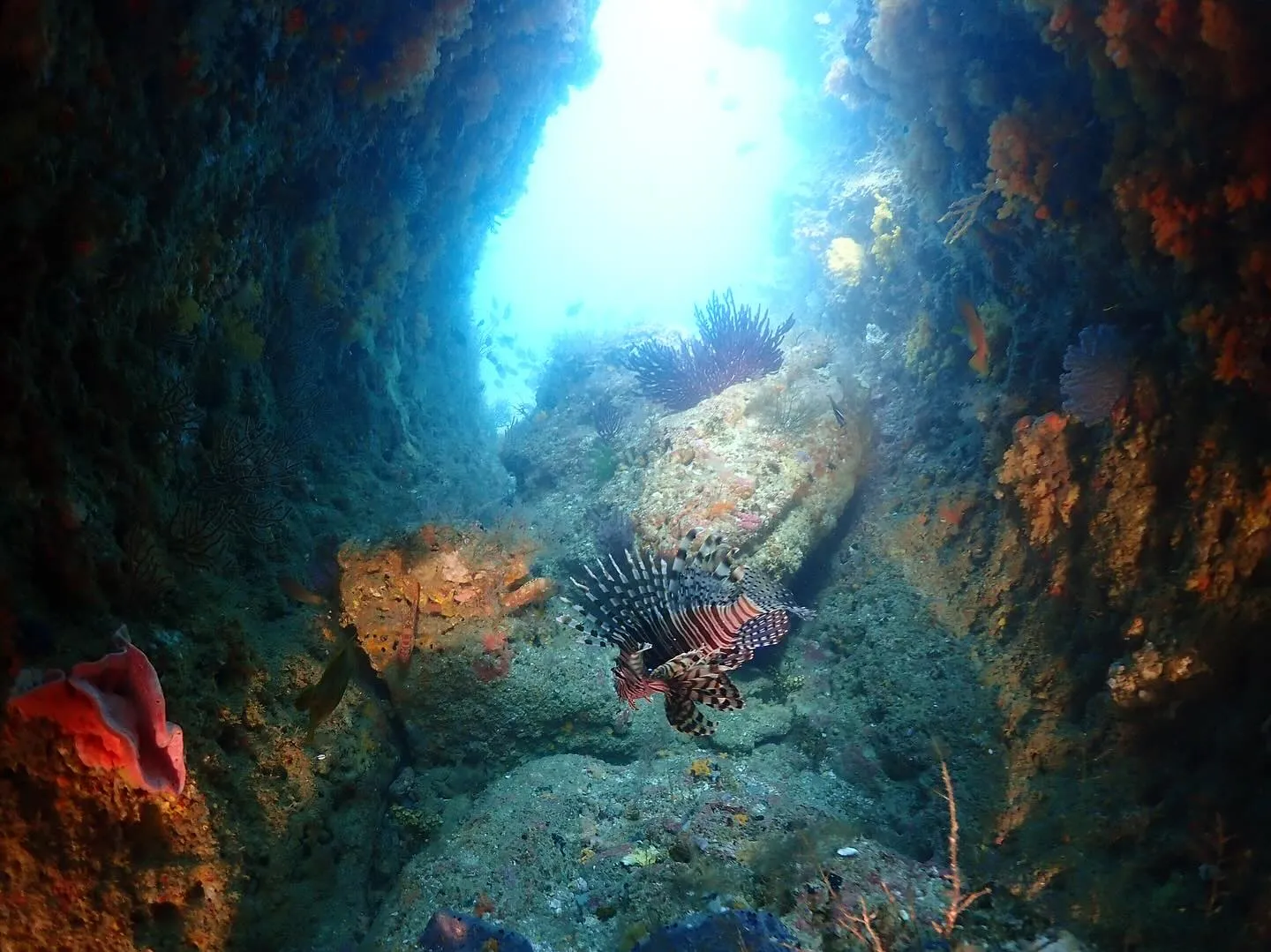 2025.07.10平日田辺ボートツアー