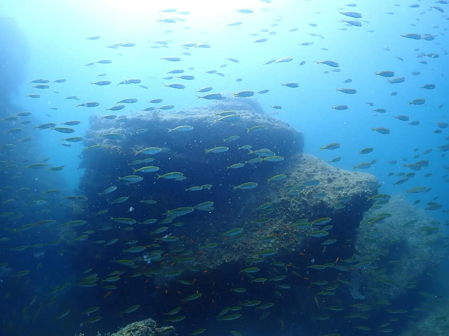 2025.07.10平日田辺ボートツアー