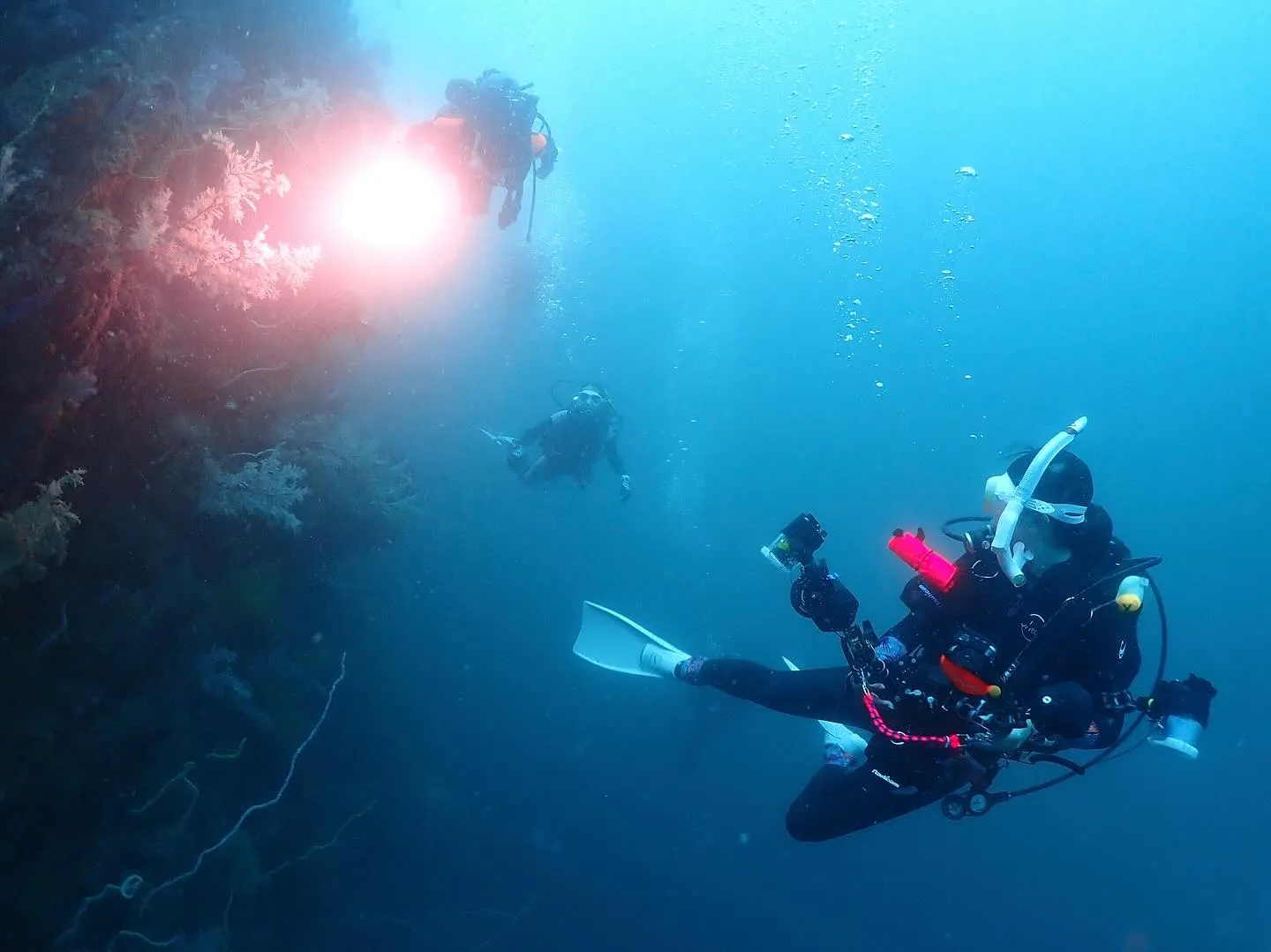2025.07.10平日田辺ボートツアー