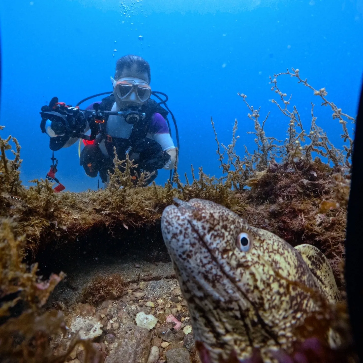 2025.07.13白崎ビーチファンダイブ