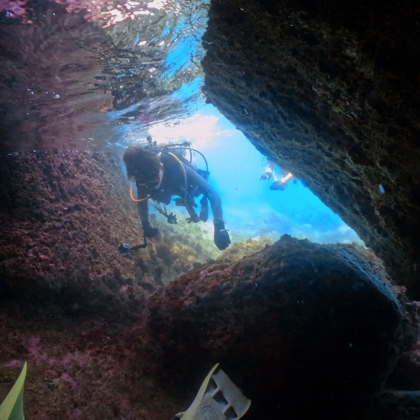 2025.07.13白崎ビーチファンダイブ