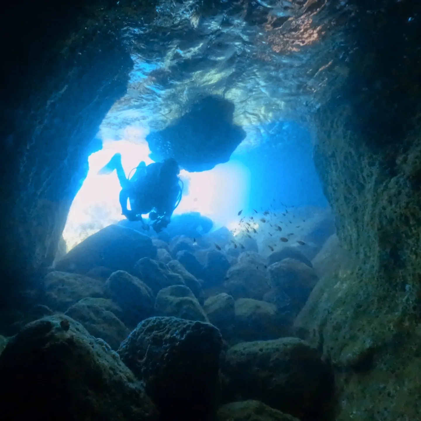 2025.07.13白崎ビーチファンダイブ