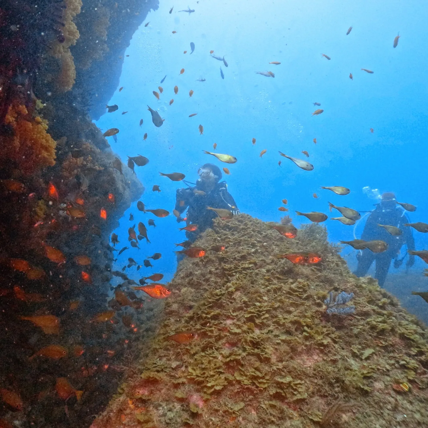 2025.07.18平日田辺ボートツアー