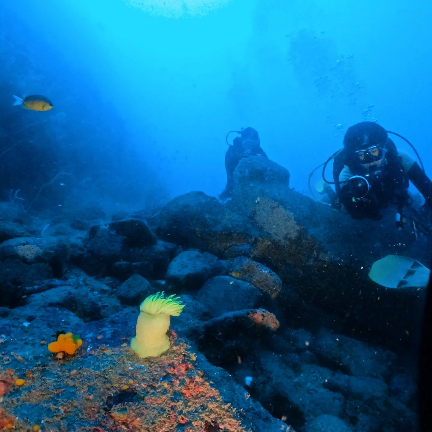 2025.07.18平日田辺ボートツアー