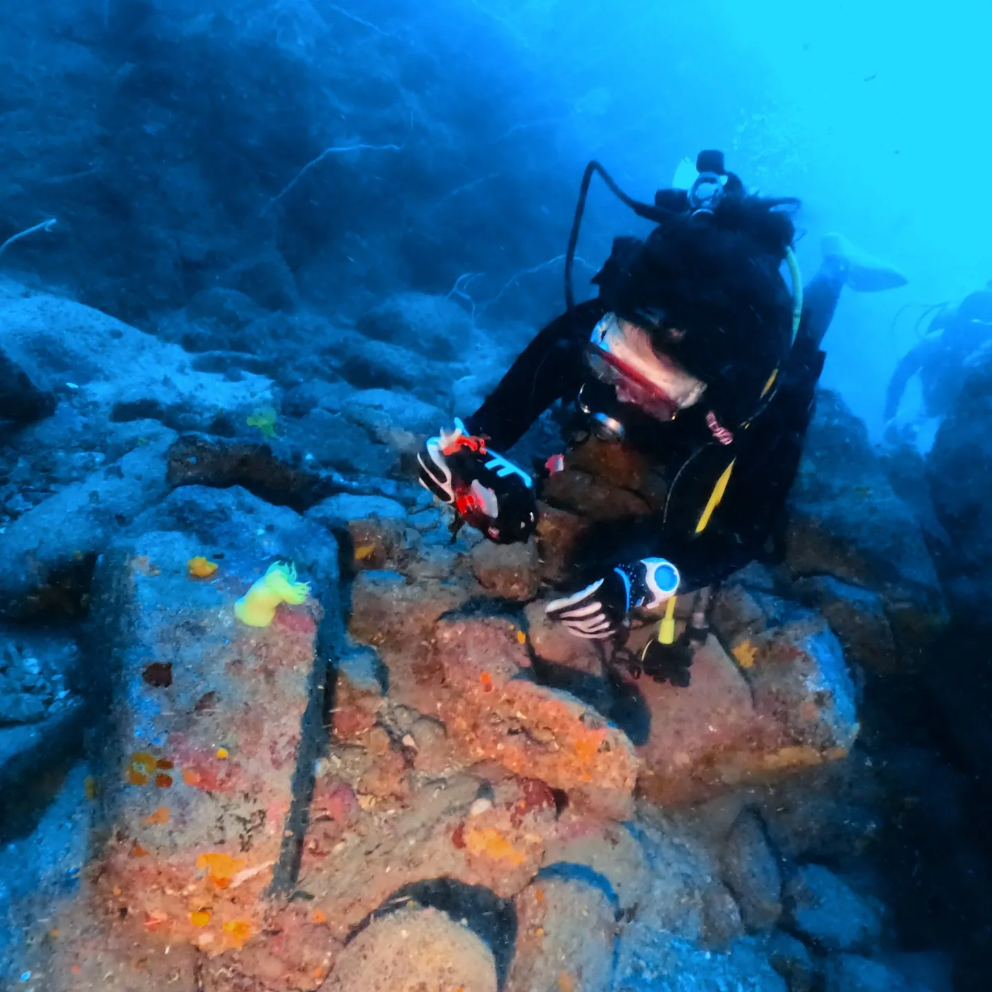 2025.07.18平日田辺ボートツアー