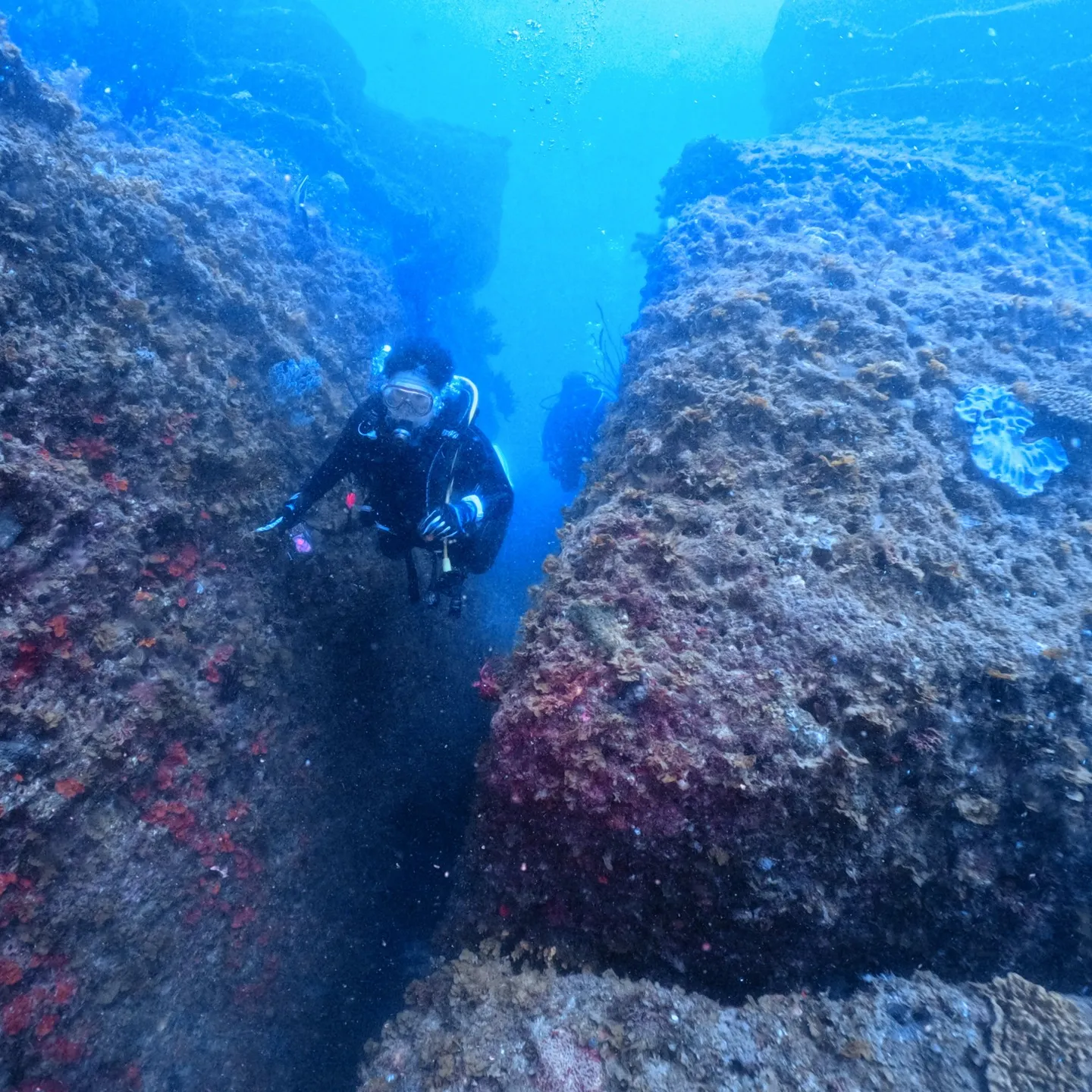2025.07.18平日田辺ボートツアー