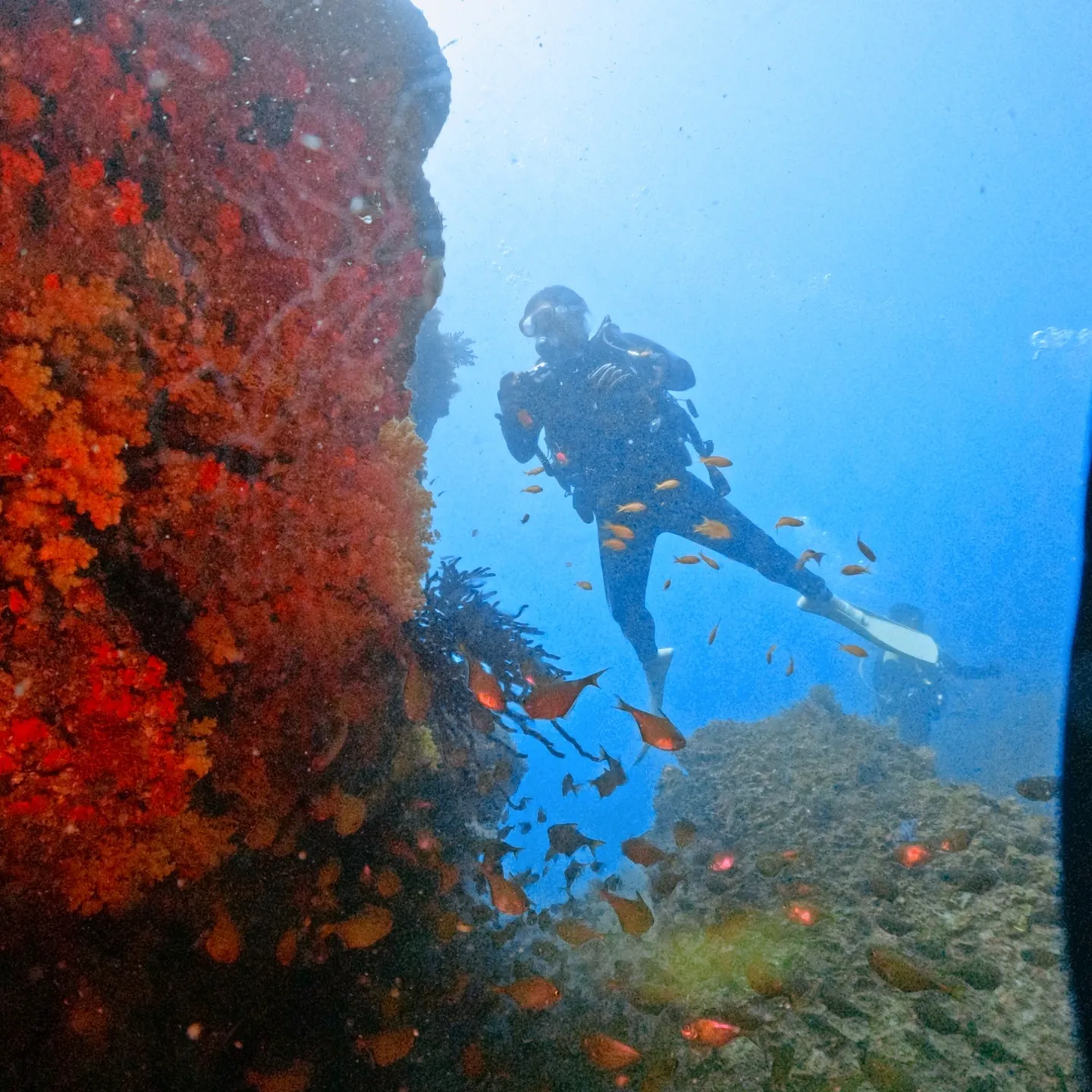 2025.07.18平日田辺ボートツアー