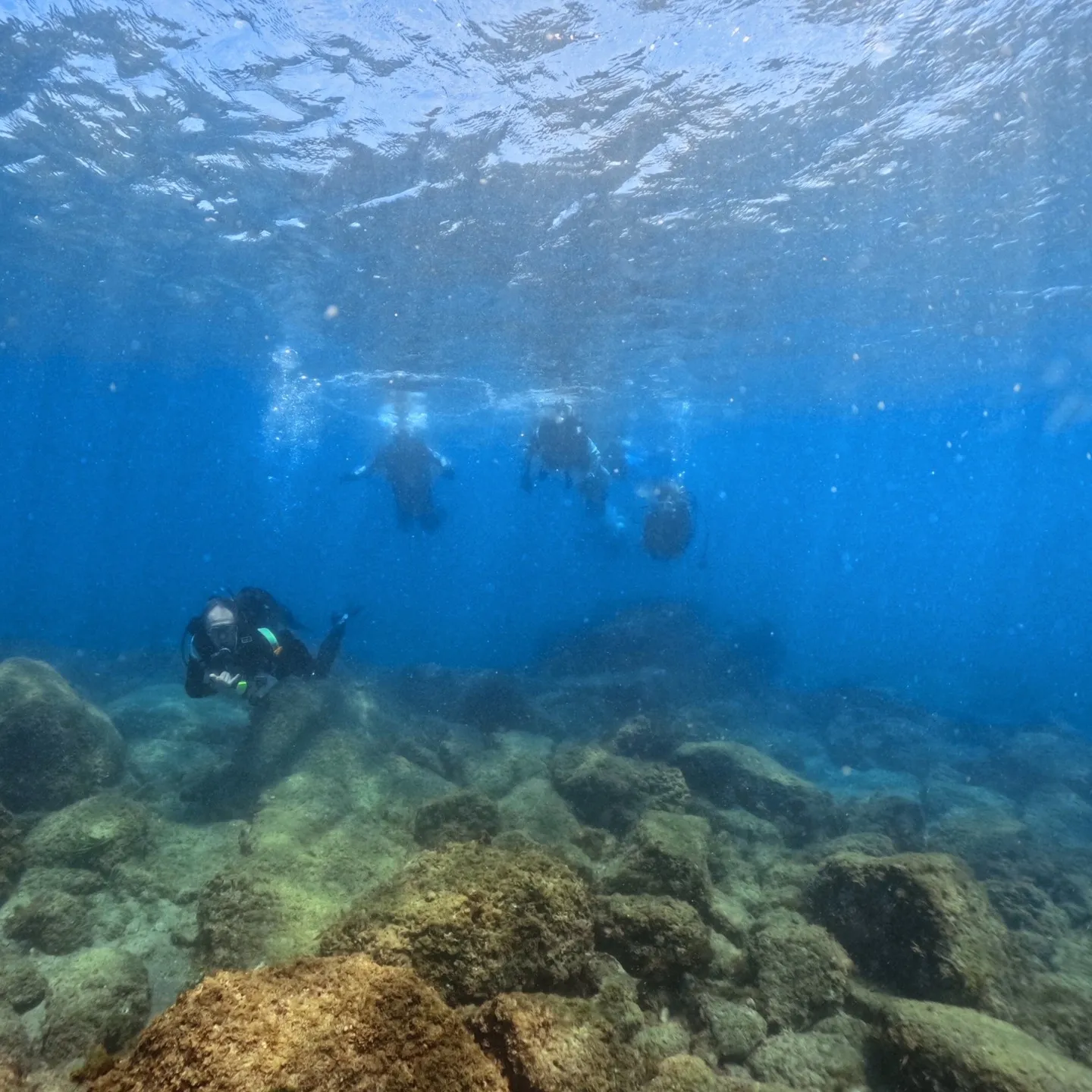 2025.07.21白崎ビーチファンダイブ