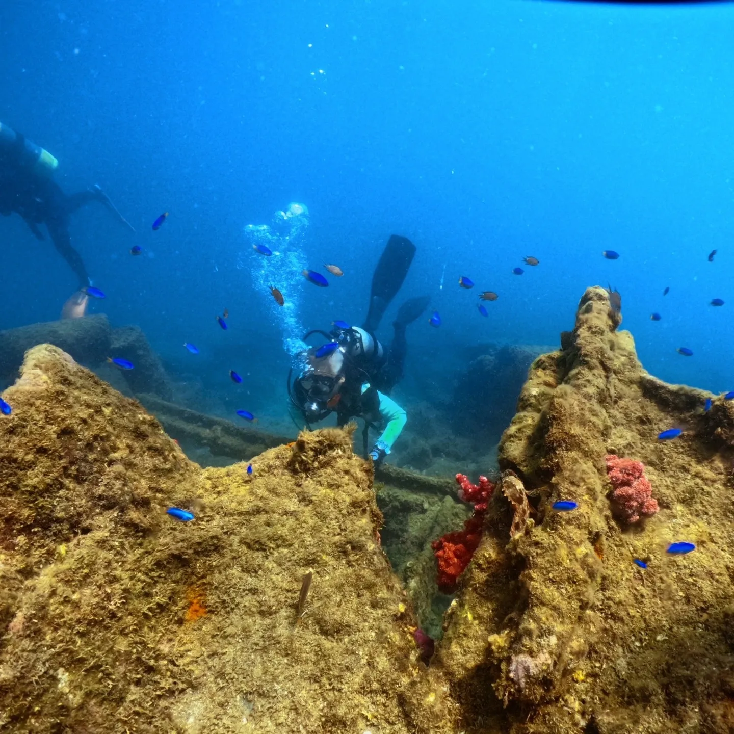 2025.07.21白崎ビーチファンダイブ