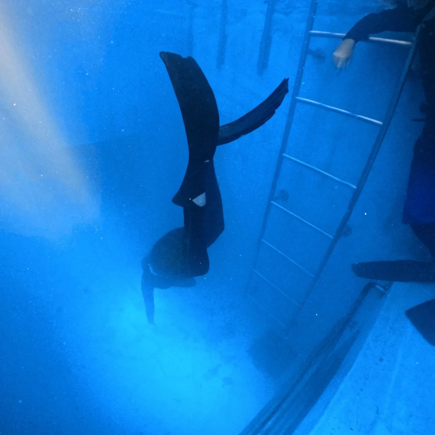 2025/7/28は朝からオーストラリアの方がPADIベーシ...