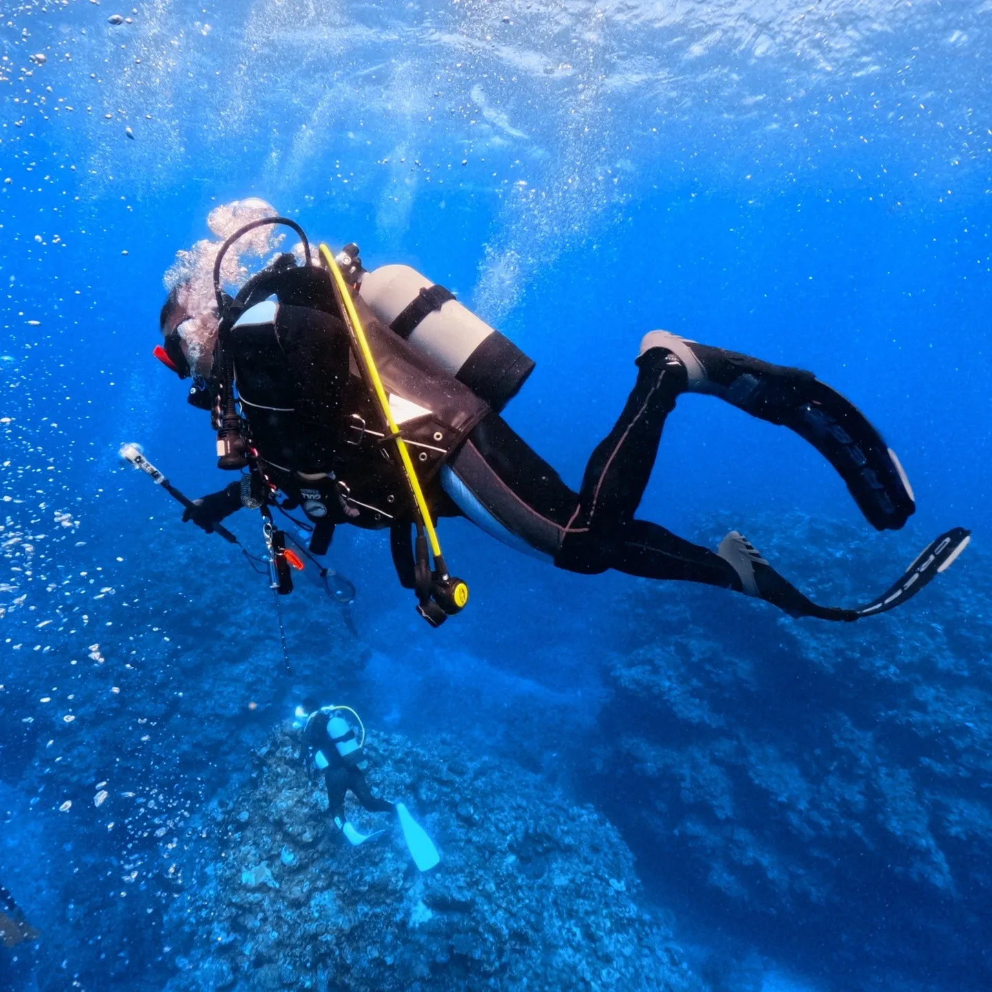 2025/7/25-27は石垣島5ダイブ🐠