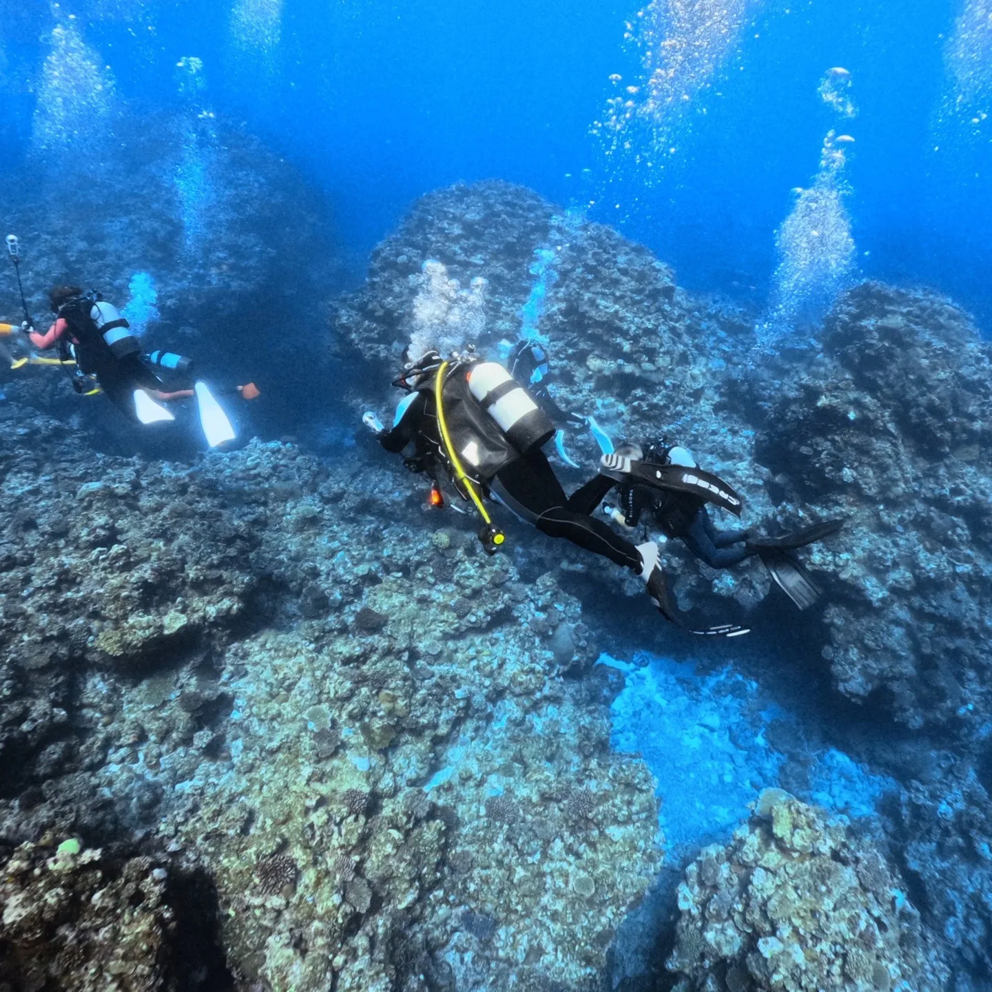 2025/7/25-27は石垣島5ダイブ🐠