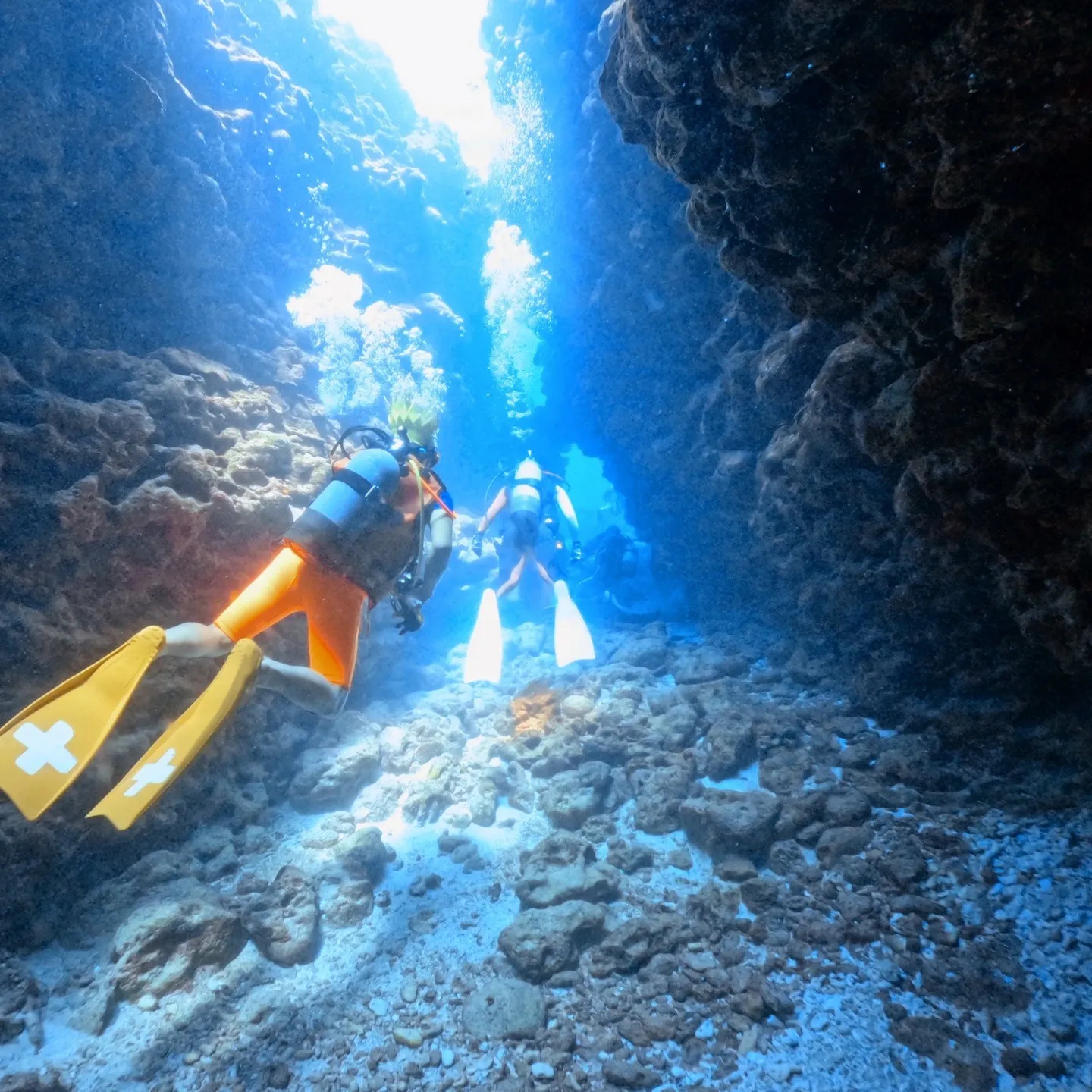 2025/7/25-27は石垣島5ダイブ🐠