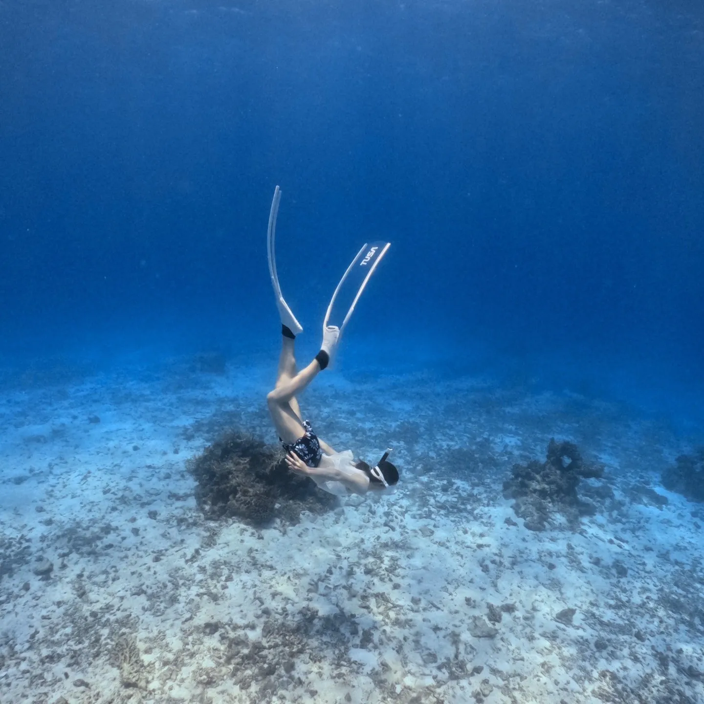 2025/7/25🏊♀️石垣島でフリーダイビング🐠TUSA...