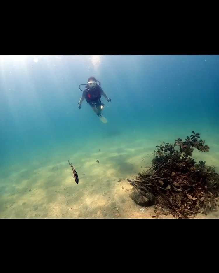 2025.07.28音海ビーチOWD講習