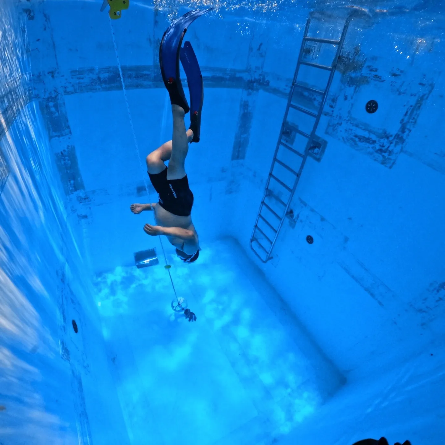 2025/8/1-2🏊‍♀️沖縄本島でフリーダイビングトレー...