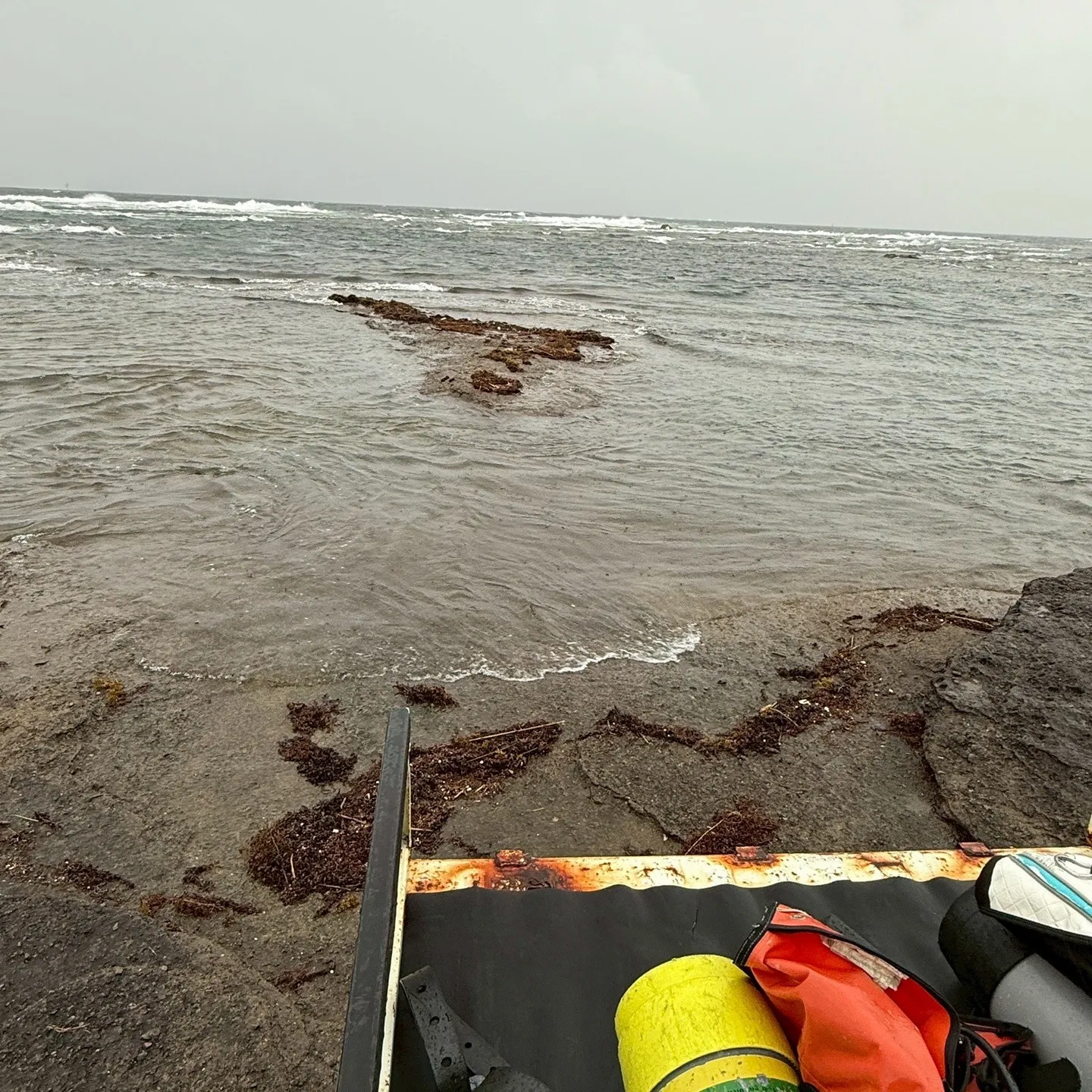 2025.8.5~毎年恒例のお船の掃除依頼から始まり🚤毎日怒...