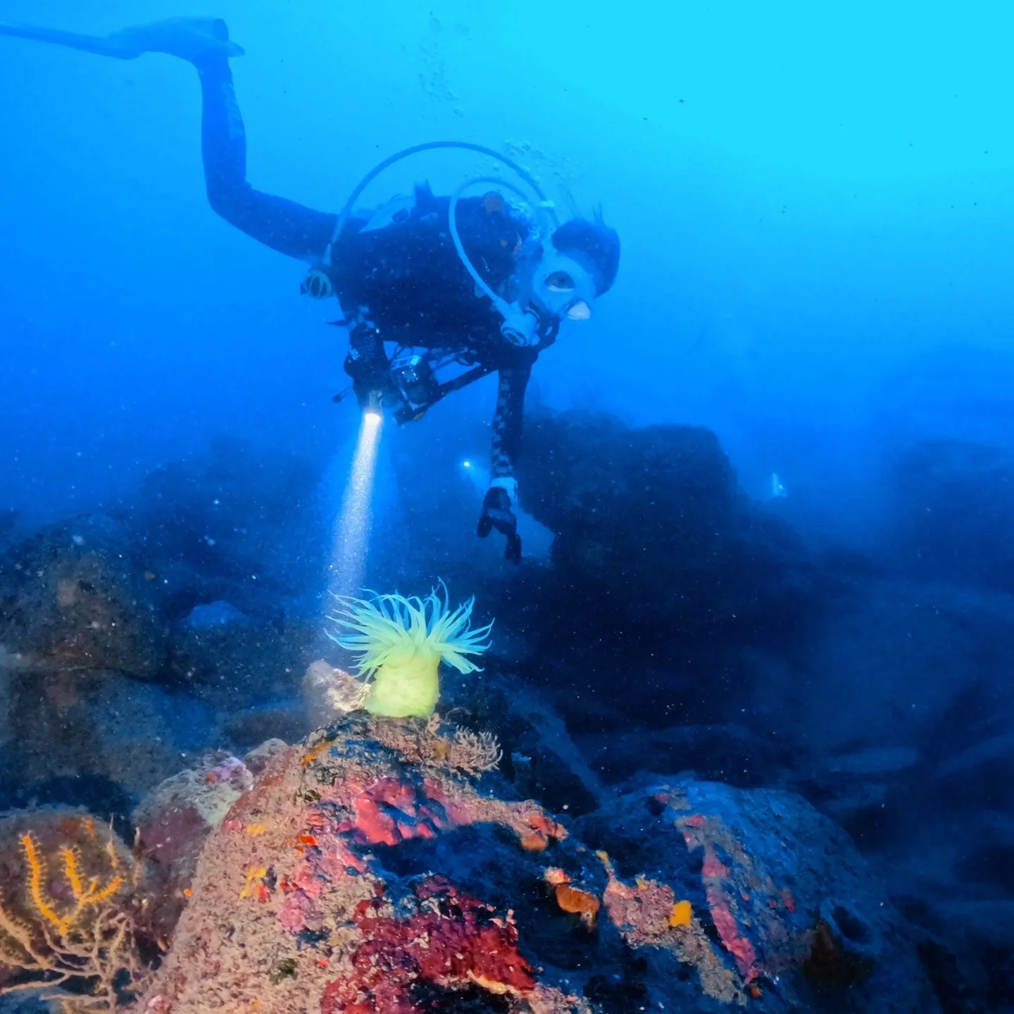 2025.8.5~毎年恒例のお船の掃除依頼から始まり🚤毎日怒...