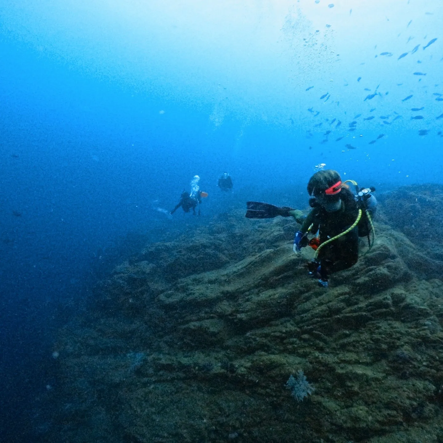 2025.8.5~毎年恒例のお船の掃除依頼から始まり🚤毎日怒...