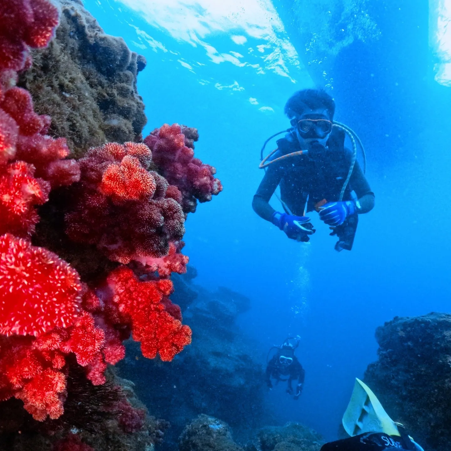 2025.8.5~毎年恒例のお船の掃除依頼から始まり🚤毎日怒...