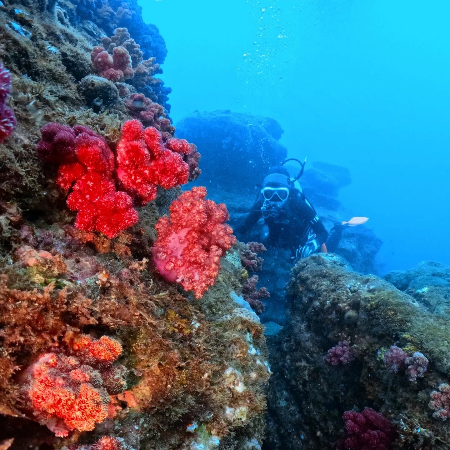 2025.8.5~毎年恒例のお船の掃除依頼から始まり🚤毎日怒...