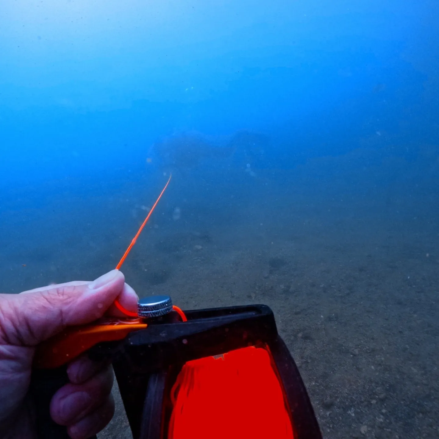 025/8/13は田辺一泊二日でレスキューコース😊透明度はフ...