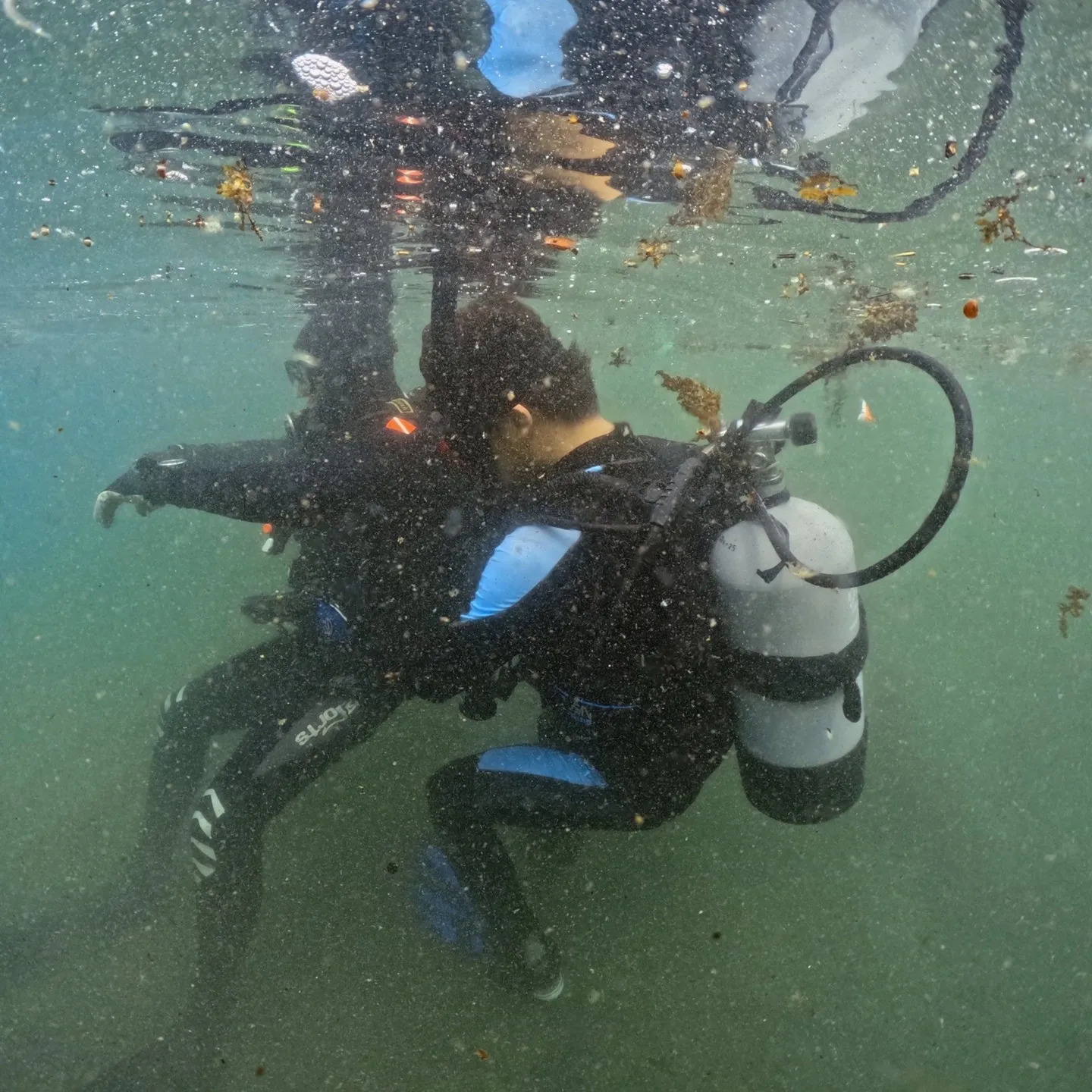 025/8/13は田辺一泊二日でレスキューコース😊透明度はフ...