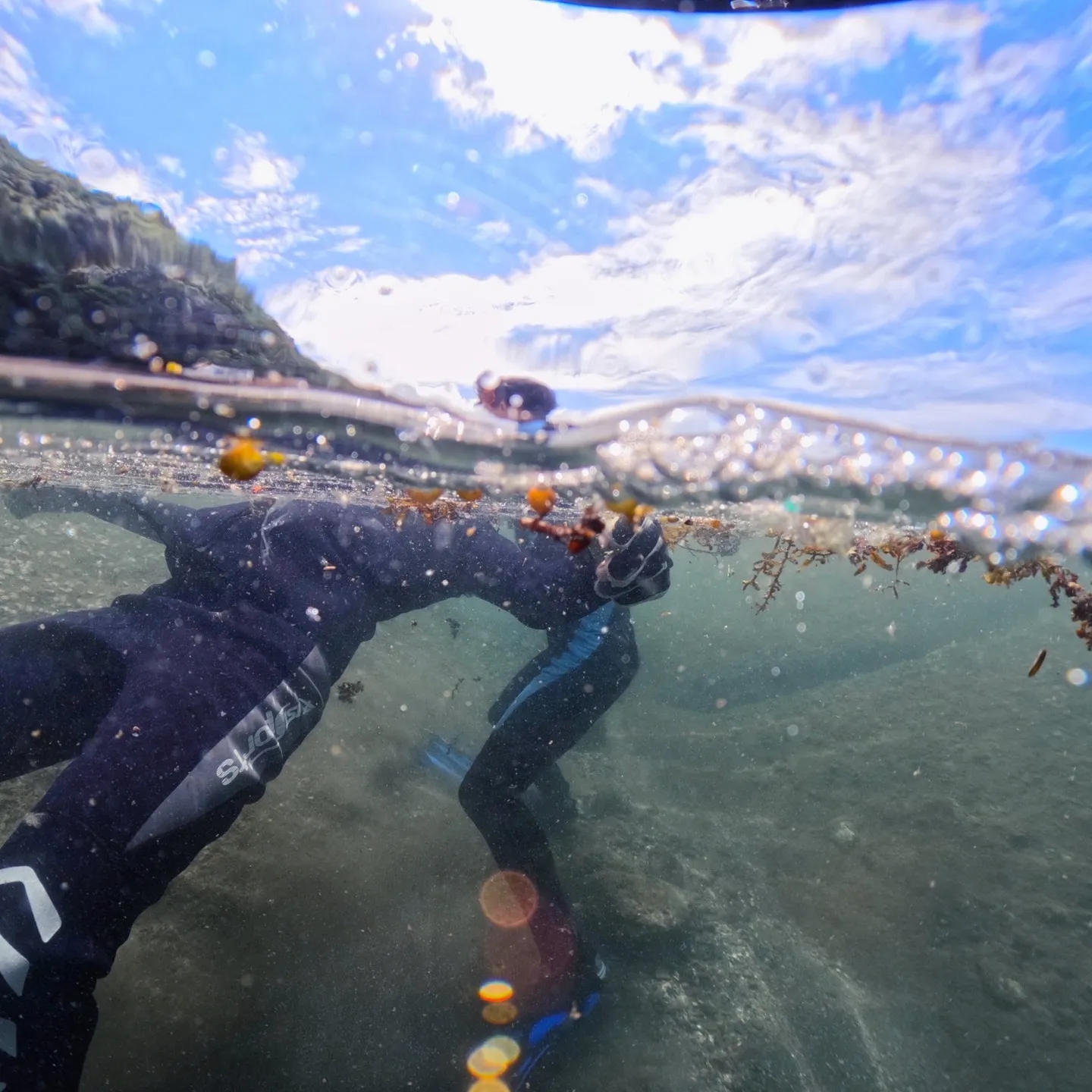025/8/13は田辺一泊二日でレスキューコース😊透明度はフ...