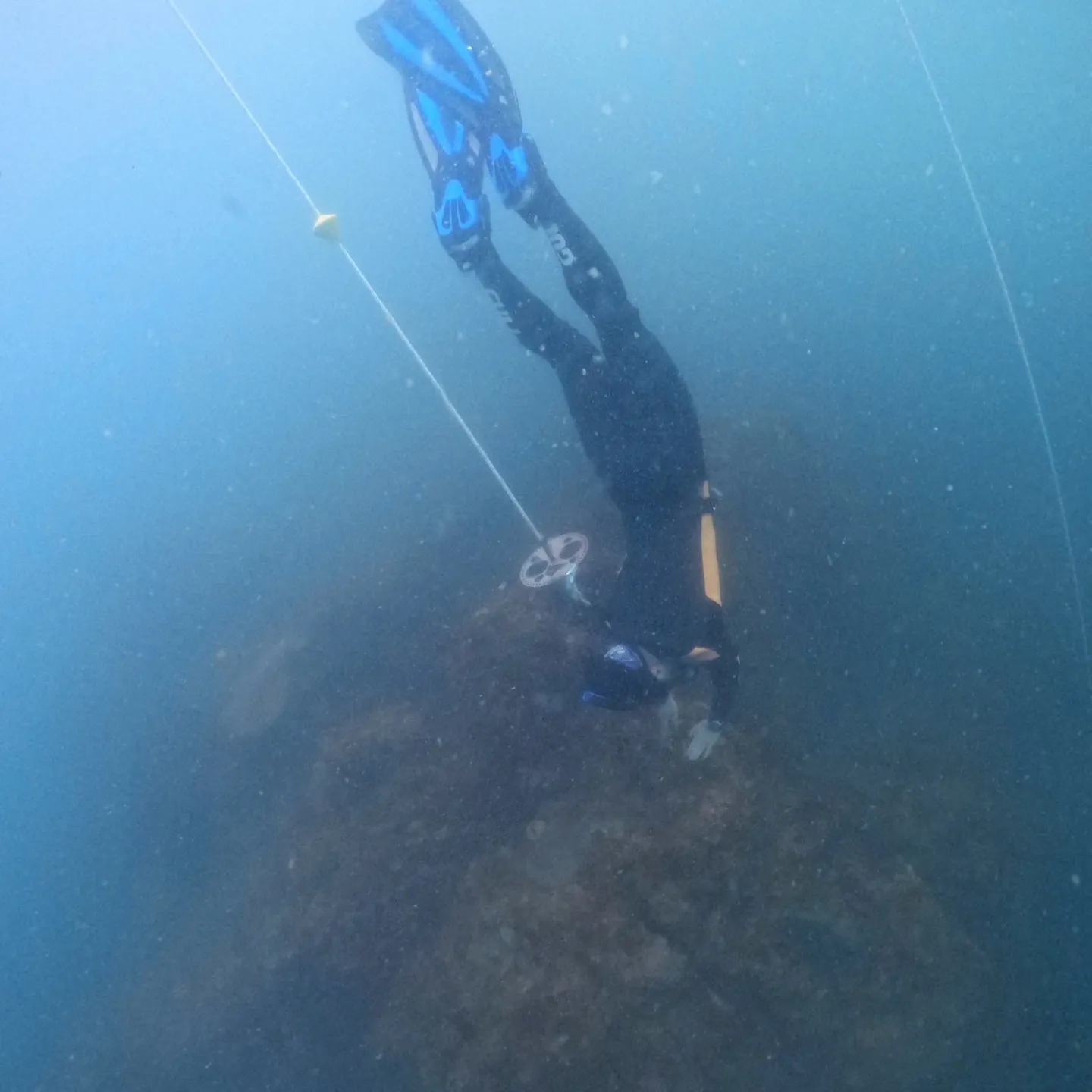 2025/8/16は田辺日帰り斧＆ブライアンチームはオープン...