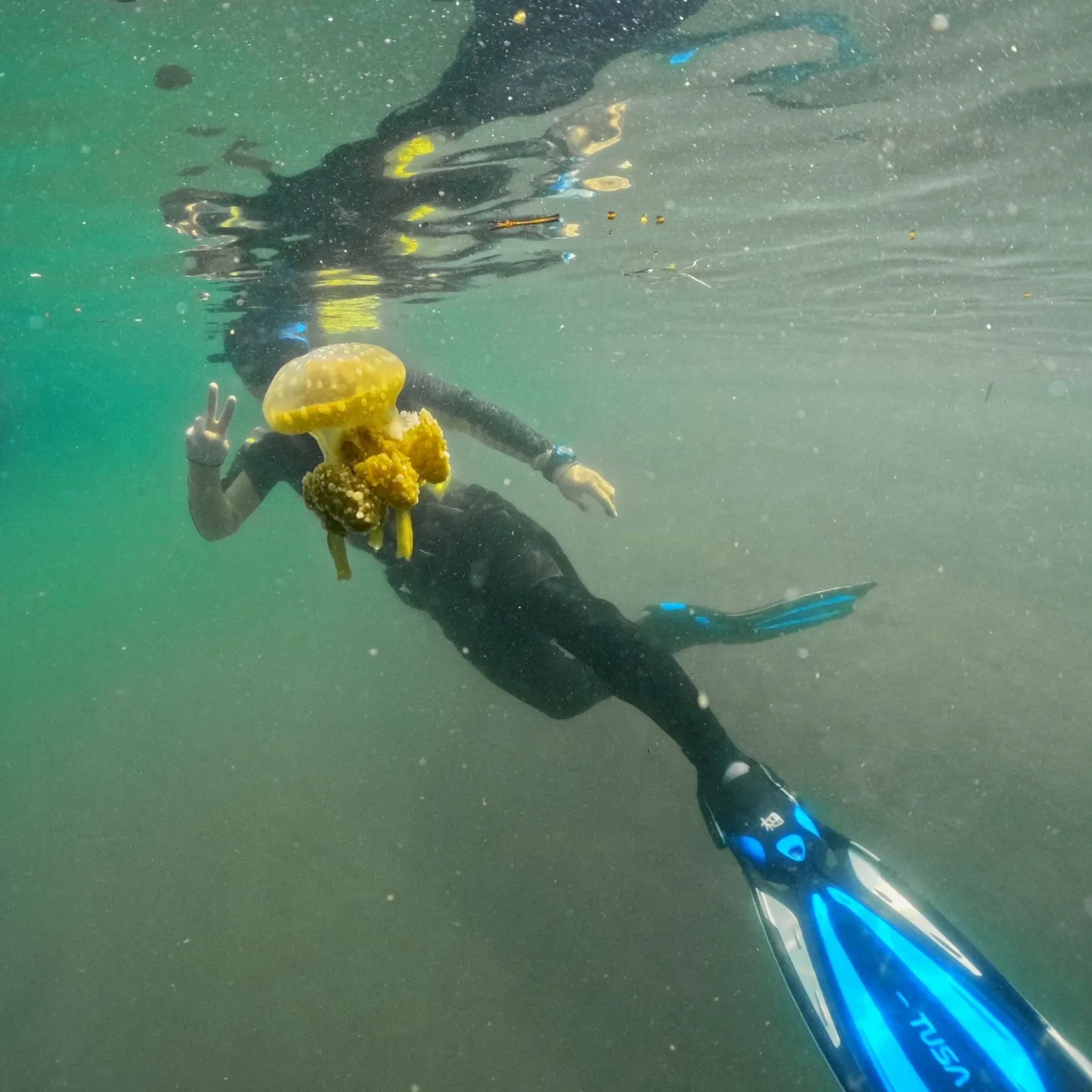 2025/8/16は田辺日帰り斧＆ブライアンチームはオープン...