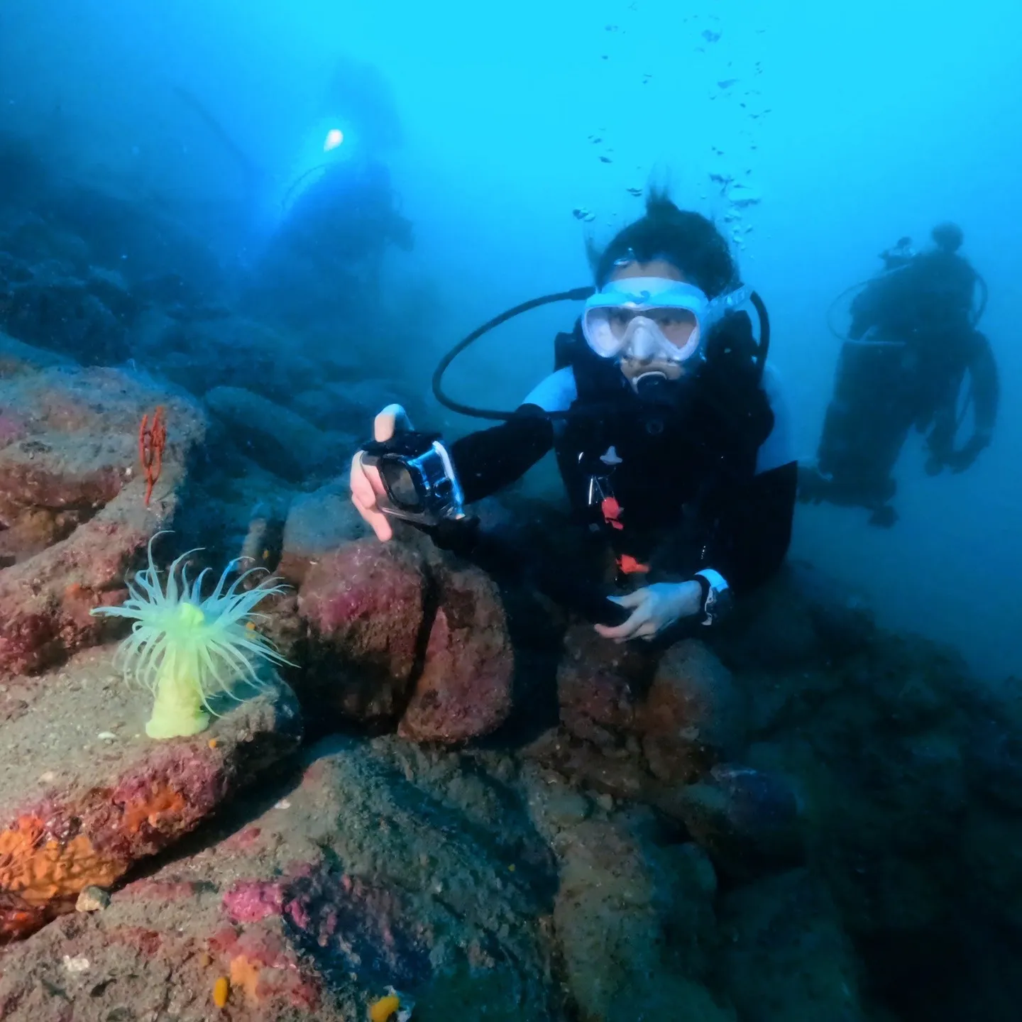 2025/8/21は平日田辺ボートツアー