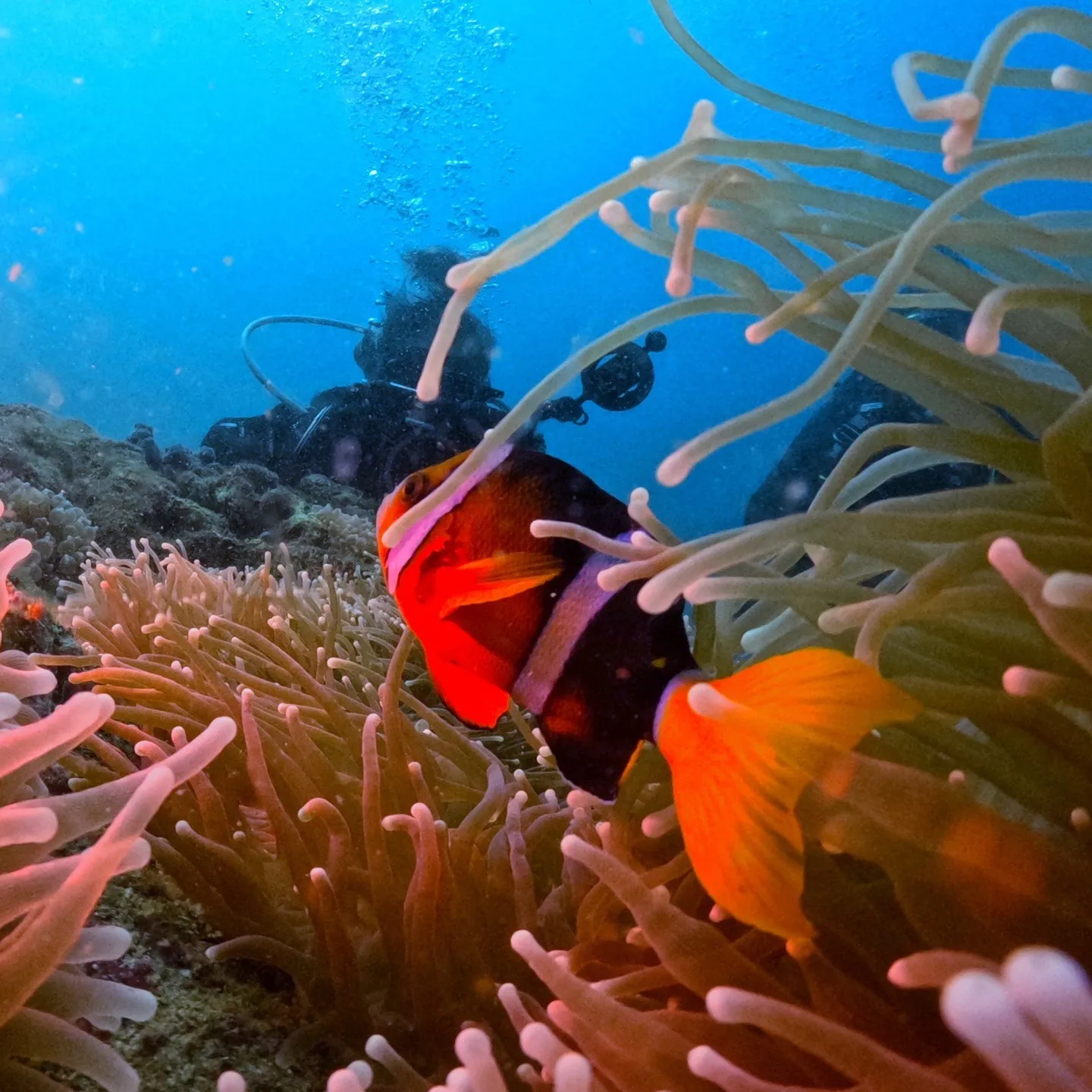 2025/8/21は平日田辺ボートツアー