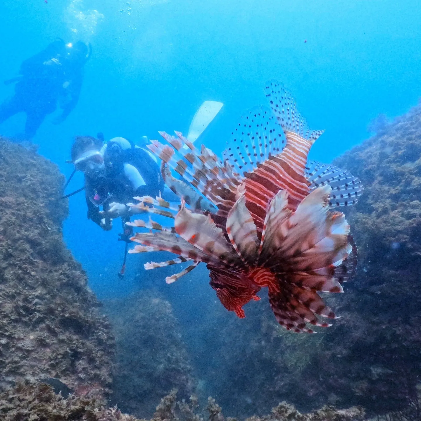 2025/8/21は平日田辺ボートツアー