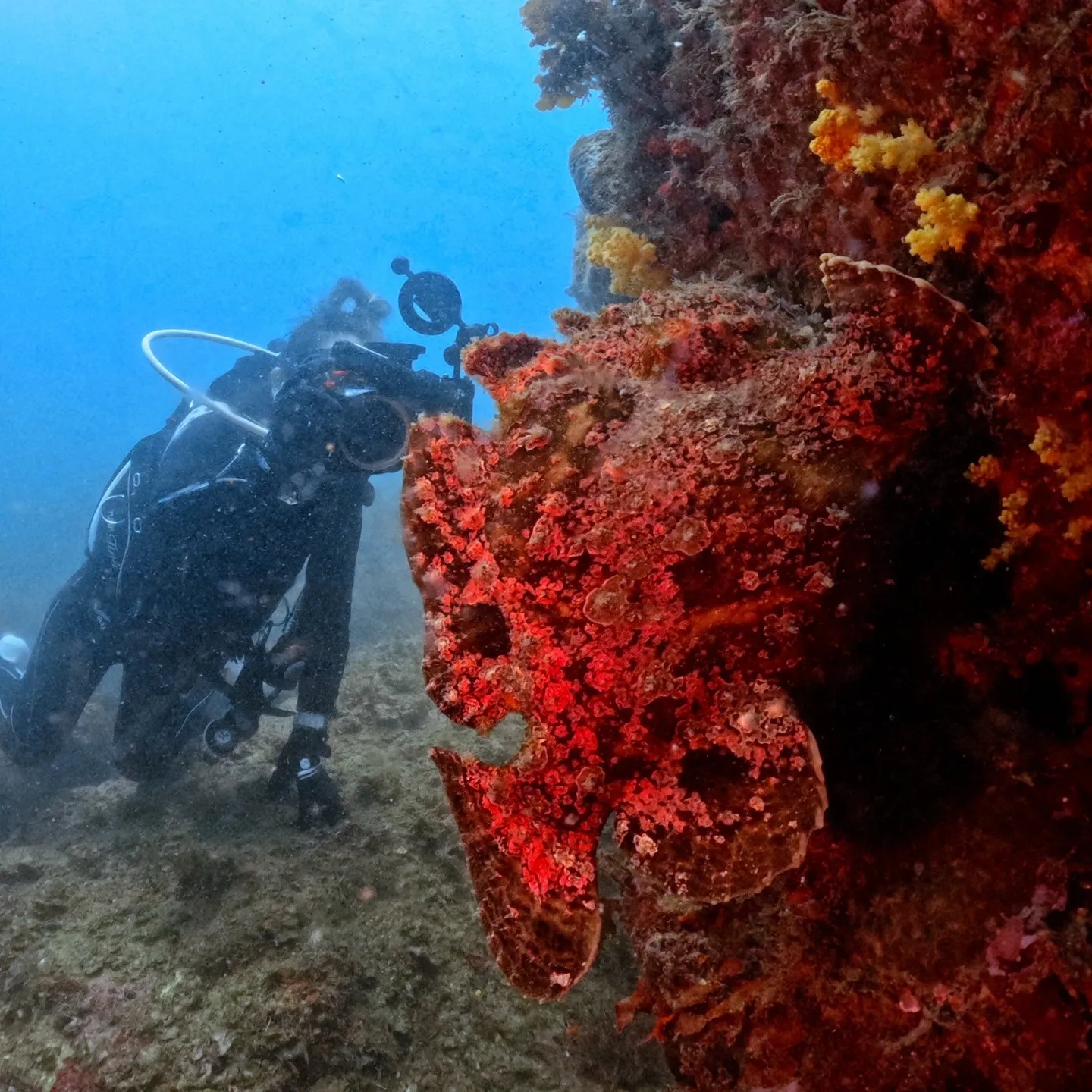 2025/8/21は平日田辺ボートツアー