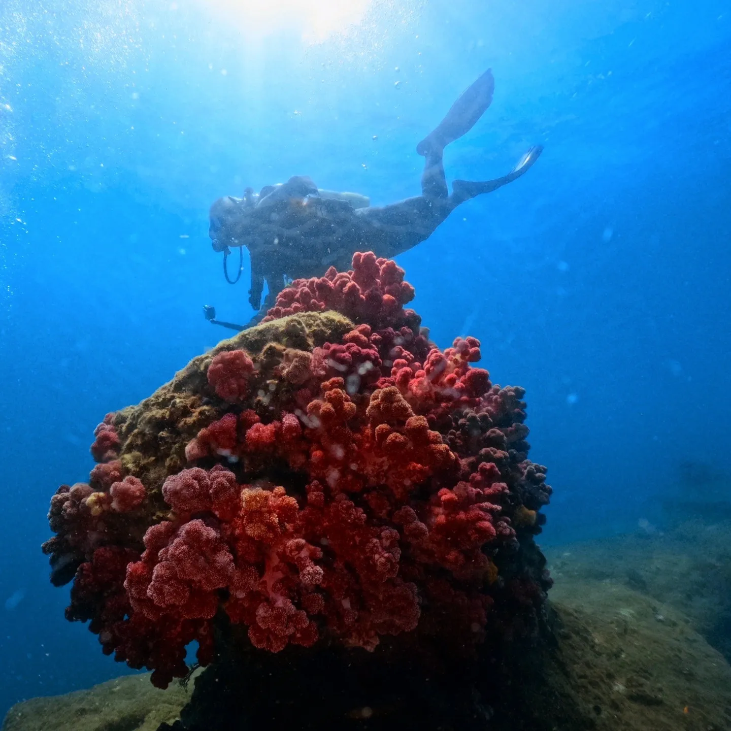 2025/8/21は平日田辺ボートツアー