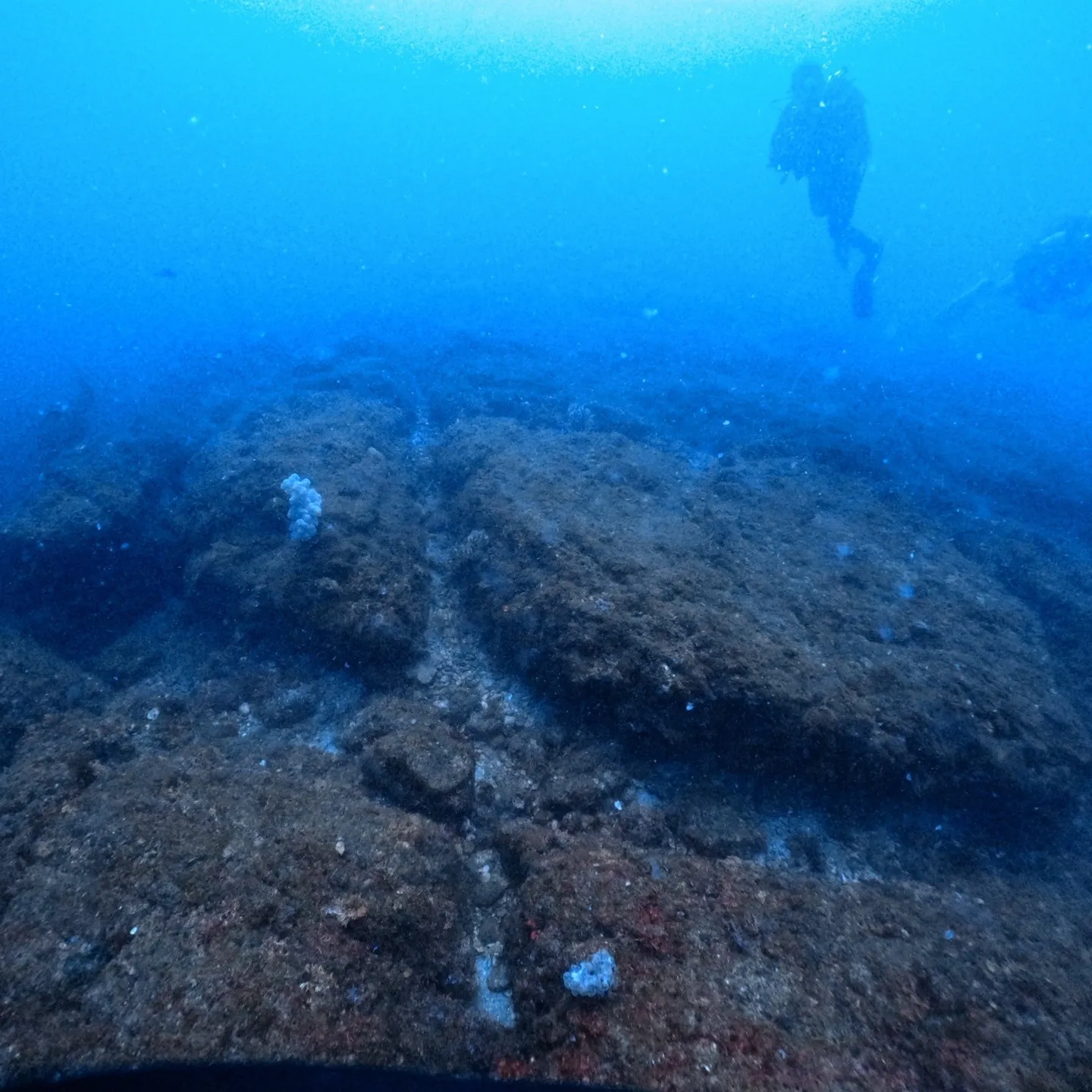 2025/8/23-24は熱海沈船＆海底遺跡ダイビング✌️表...