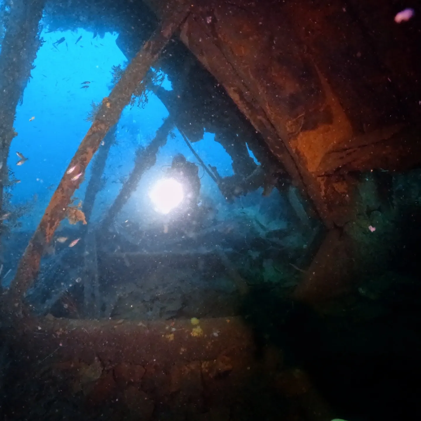 2025/8/23-24は熱海沈船＆海底遺跡ダイビング✌️表...