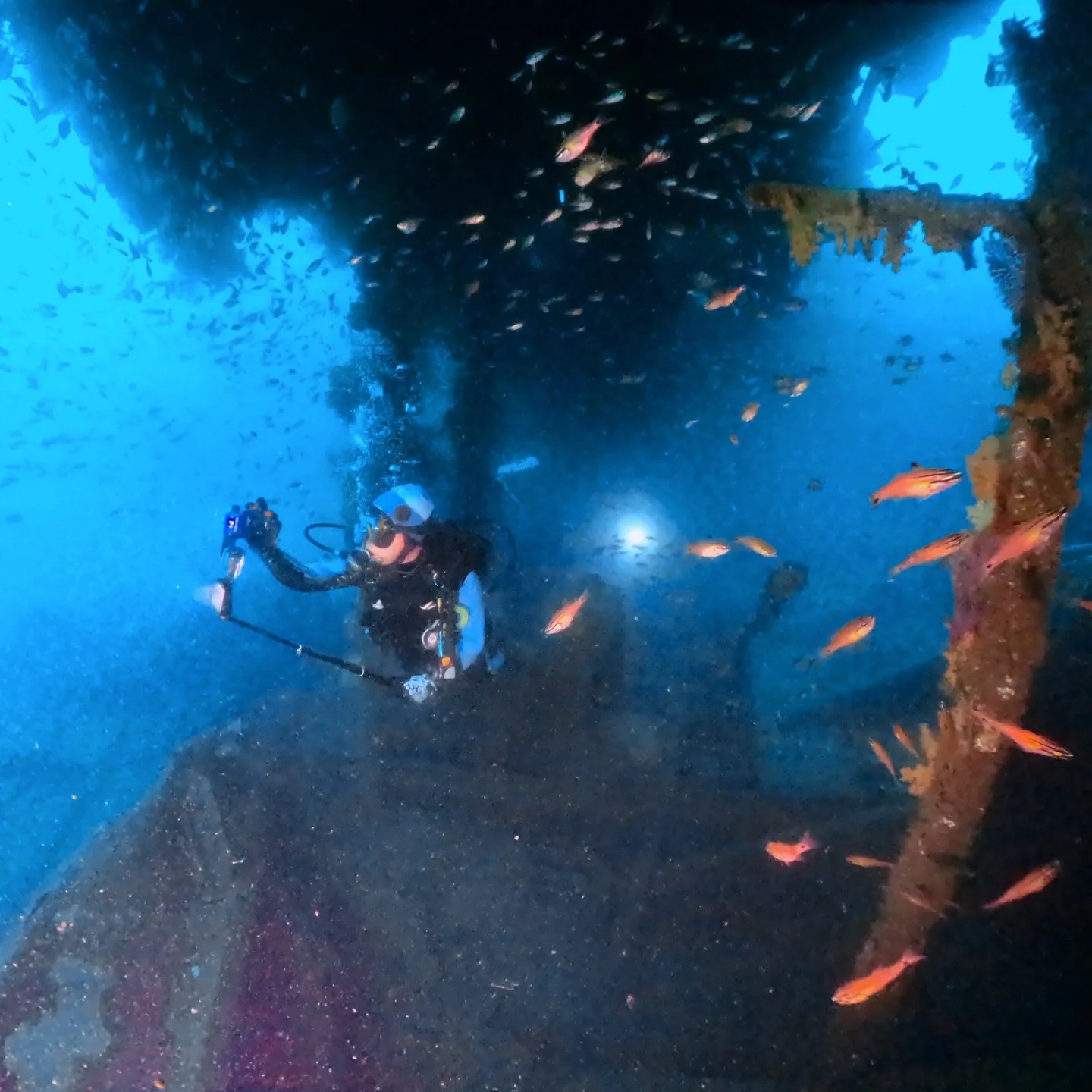 2025/8/23-24は熱海沈船＆海底遺跡ダイビング✌️表...