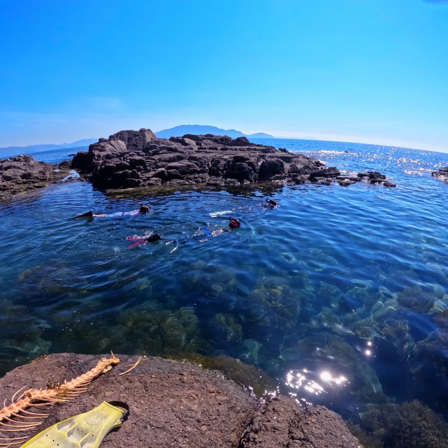 2025/8/30-31は年に一度の南越前ダイビング✌️一年...