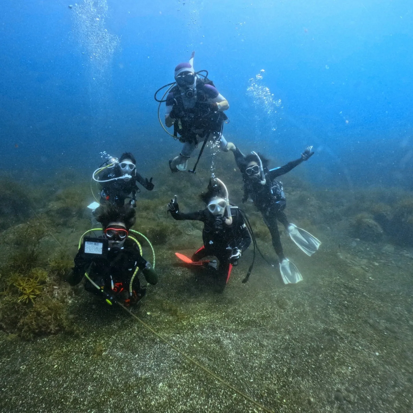 2025/8/30-31は年に一度の南越前ダイビング✌️一年...