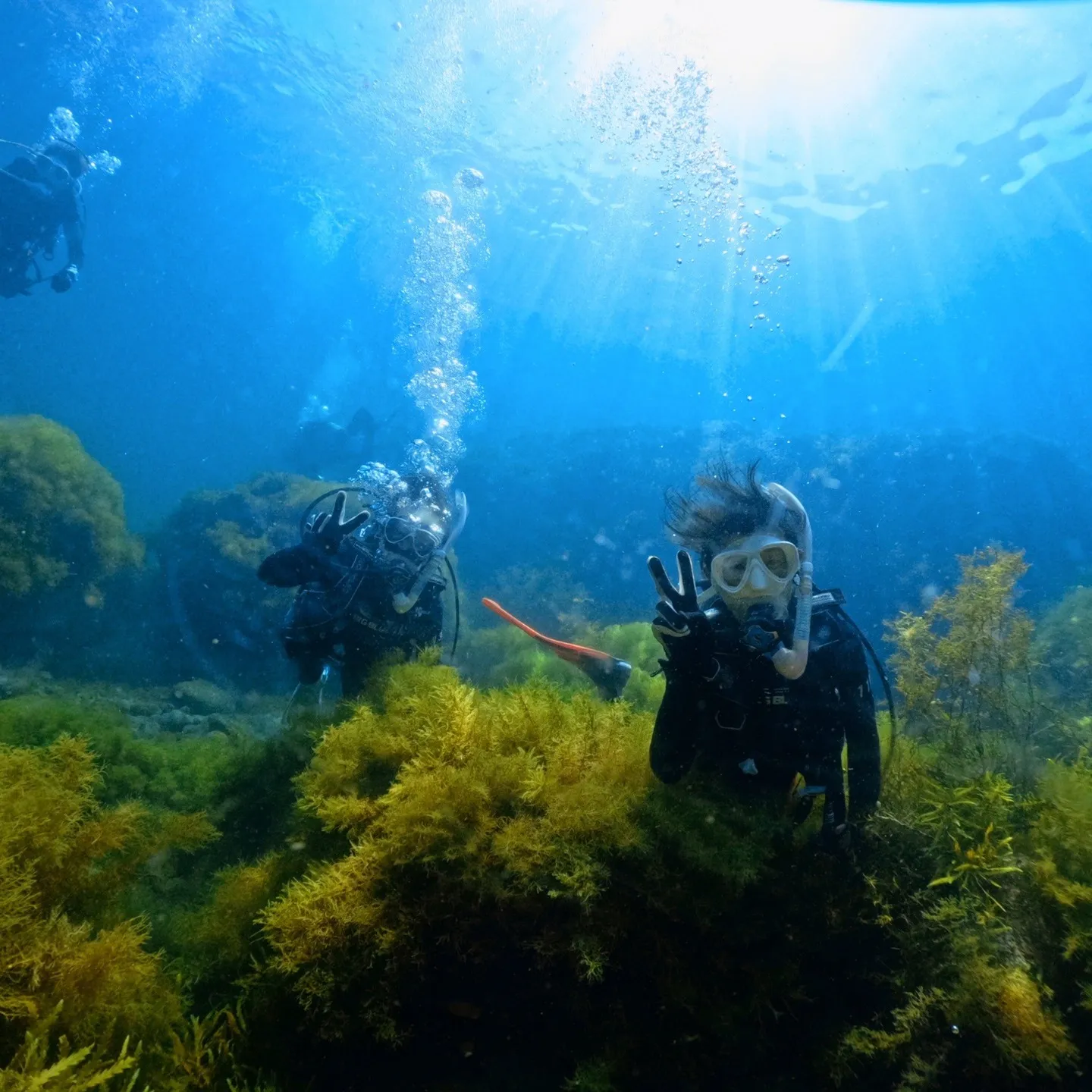 2025/8/30-31は年に一度の南越前ダイビング✌️一年...