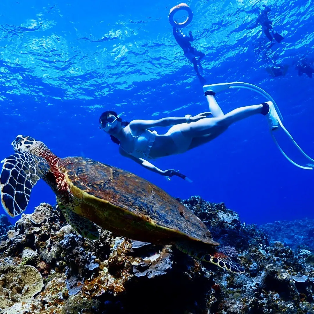 フリーダイビング体験講習で初心者が安心してフリーダイビングスクールを選ぶためのポイント