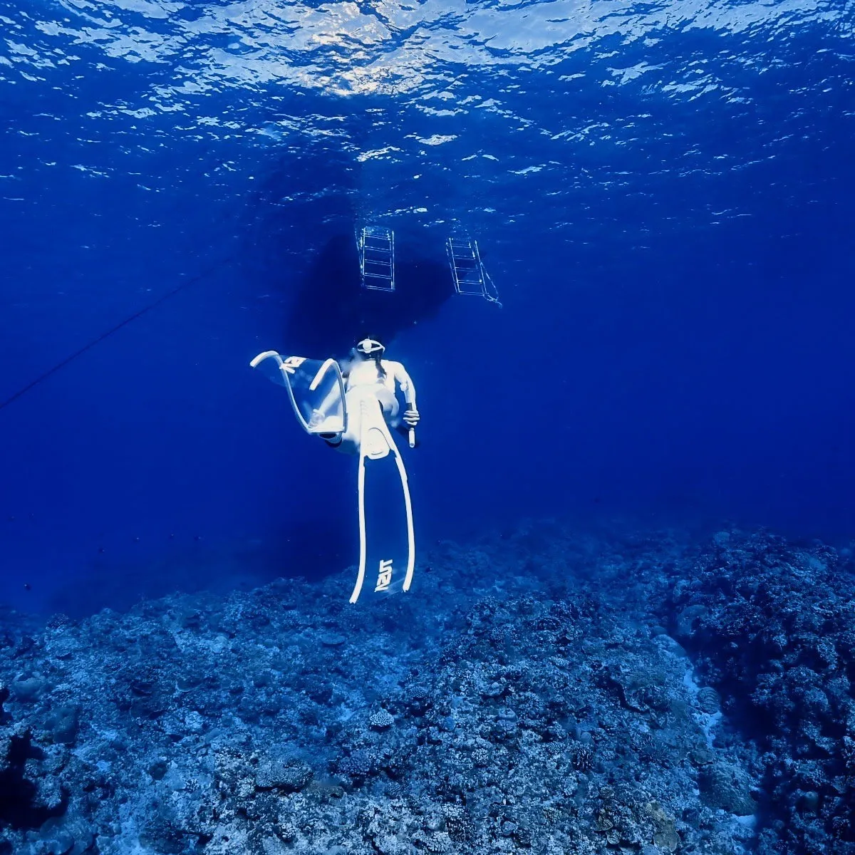 2025/9/6-7🏊‍♀️沖縄フリーダイビング🐠土曜日の到...